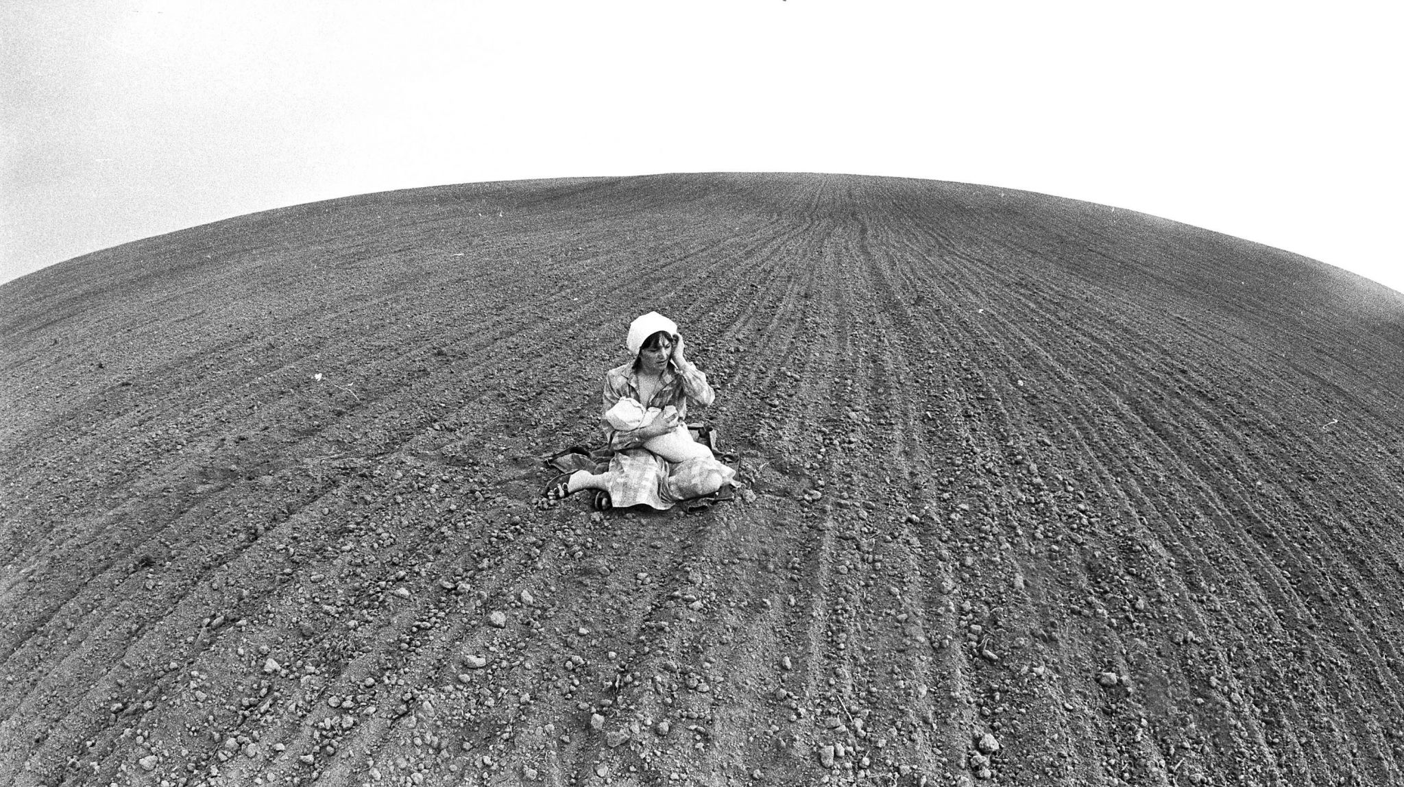 Поле мат. Владимир Лагранж фотограф. Владимир Лагранж фото. Владимир Лагранж фотографии так мы жили. Владимир Лагранж оттепель.