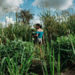 Memória e resistência nas imagens de Ingrid Barros